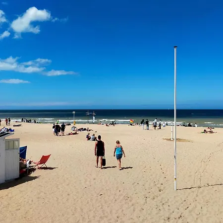 Cozy In With Wifi * Ostenda